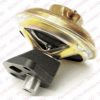 DELPHI EG10019 EGR Valve